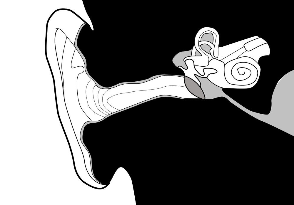 ear diagram.jpg