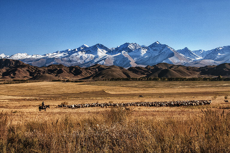 kyrgyzstan_ala_too_mts_pastoral_scene01_smug.jpg